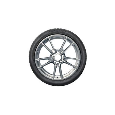 19/20 Inch Winter Wheel And Tire - 911 | 2024-2025