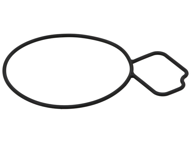 Mercedes-Benz Water Pump Gasket | 2016-2023 24439799