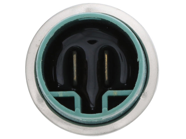 Mercedes-Benz Intake Temperature Sensor | 2021 251919369