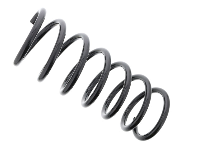 BMW Coil Spring | 1995-2014 31280484