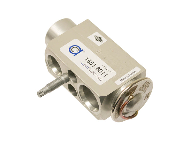 BMW Expansion Valve | 1997-2015 31291817