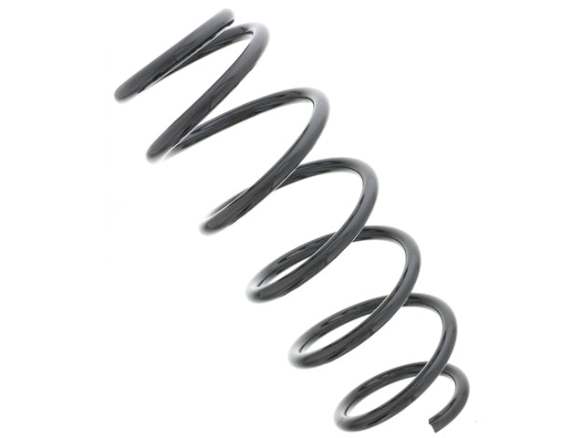 BMW Coil Spring | 1990-2016 31387908