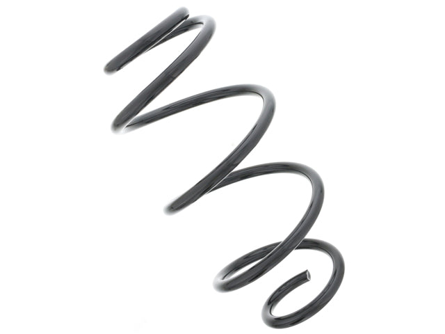BMW Coil Spring | 1990-2019 31387909