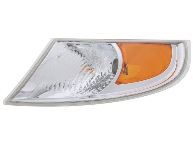 BMW Turn Signal Assembly | 2019-2021 32101381