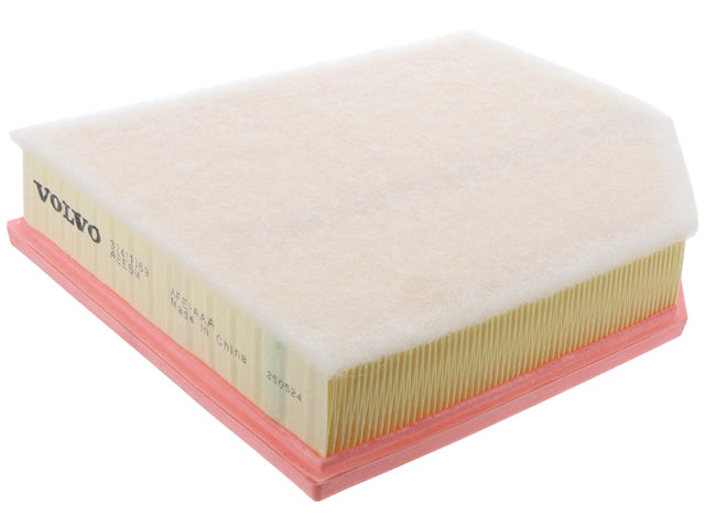BMW Air Filter | 1982-2017 32411369