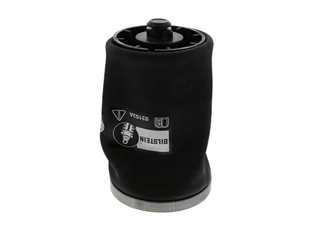 BMW Suspension Air Bag (Pneumatic Spring) | 2000-2006