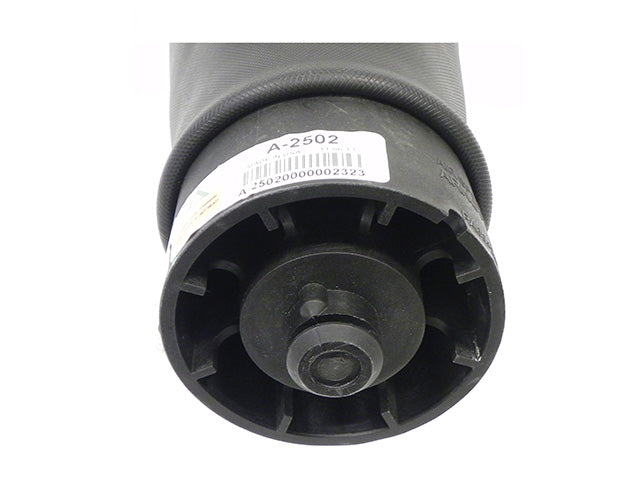 BMW Suspension Air Bag (Pneumatic Spring) | 2000-2006