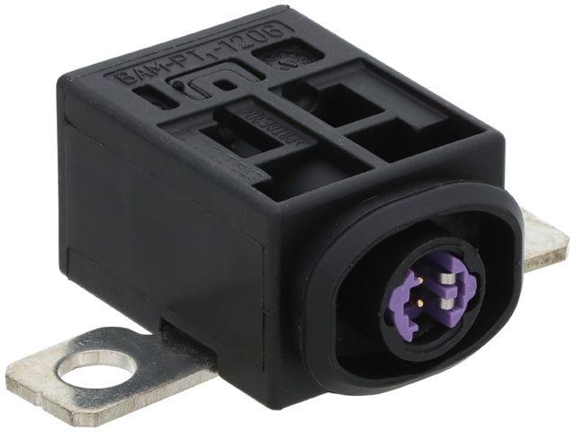 BMW Overload Protection Fuse | 2009-2015 4F0915519A