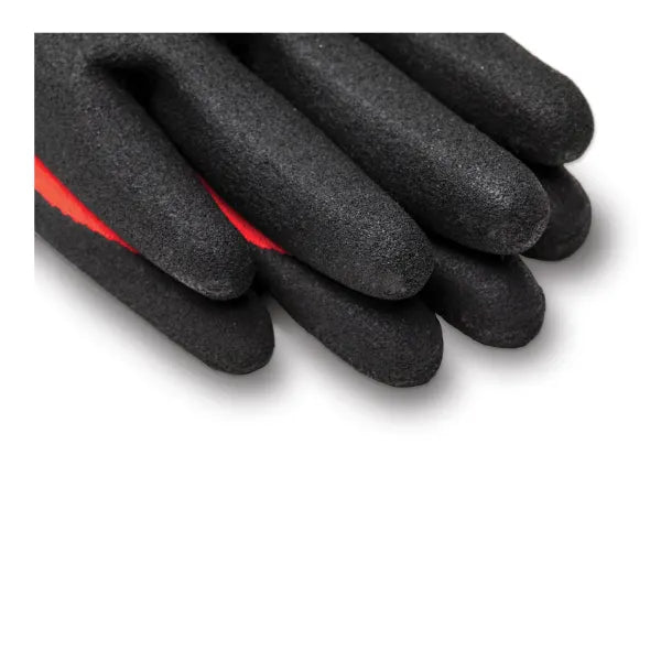 Garage Work Gloves - Medium (Pack Of 5) - Sierra Madre Collection