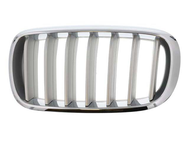 BMW Grille | 2014-2018 51117303107