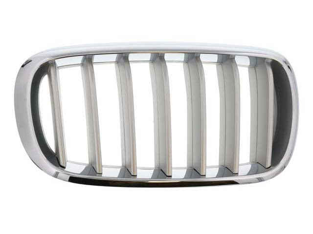 BMW Grille | 2014-2018 51117303108