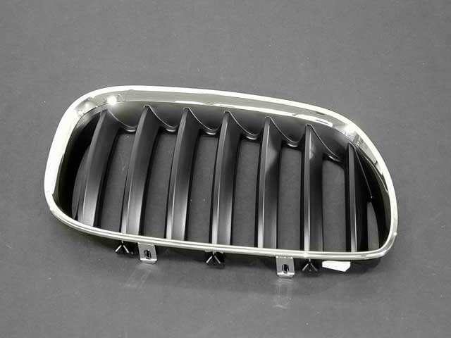 BMW Grille | 2004-2006 51137113734