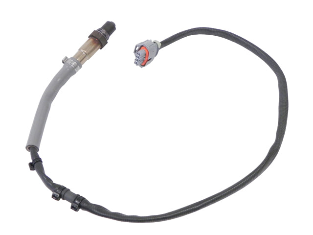 Porsche Oxygen Sensor After Catalyst , 911 | 2009-2012