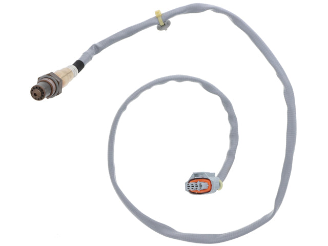 Porsche Oxygen Sensor (After Catalyst), Cayman/Boxster | 2013-2016 9A160619302