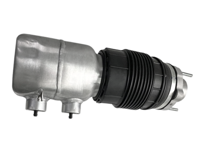 Air Suspension Spring Cylinder - Right - Panamera | 2021-2024