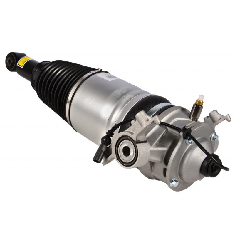 Air Suspention Shock Absorber - Right - Cayenne | 2011