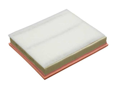 BMW Air Filter | 2009-2013 13717798342