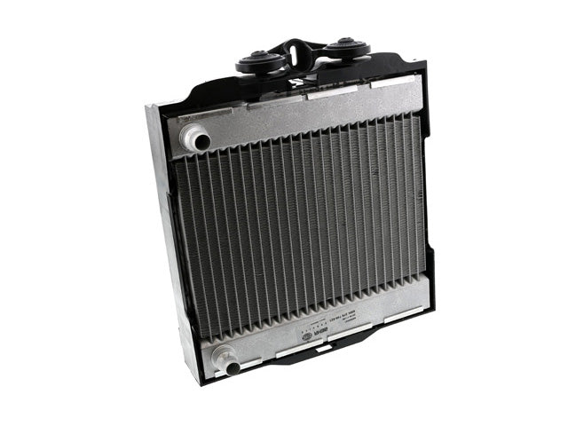 BMW Auxiliary Radiator | 2010-2019 17117805630
