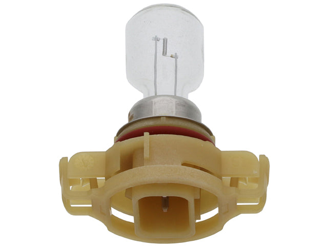 BMW Bulb 12V - 24W Clear with Cream Color Socket Base | 2013-2019 63217301310