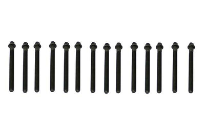 BMW Cylinder Head Bolt Set | 1997-2006 11121740065