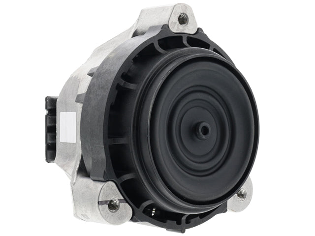 BMW Engine Mount | 2019