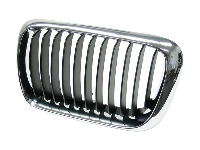 BMW Grille | 1996-1999 51138195151
