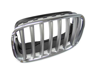 BMW Grille - Chrome Frame with Titanium Grille | 2007-2013 51137185223