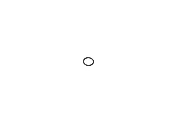 BMW Secondary Air Injection Pipe O-Ring - Pipe to Engine 14 X 1.9 mm | 2004-2008 11727541417