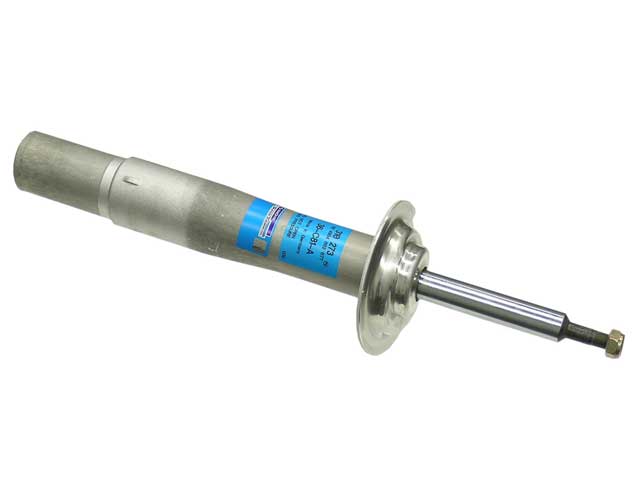 BMW Strut | 2004-2006