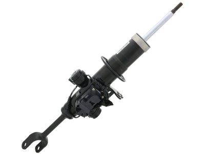 BMW Strut | 2011-2013