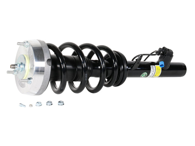 BMW Strut | 2016-2018