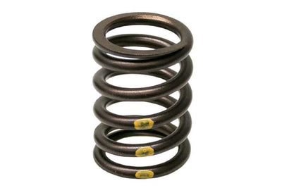 BMW Valve Spring | 1967-1987 11341276504