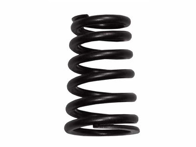 BMW Valve Spring | 1995-2003 11341403709