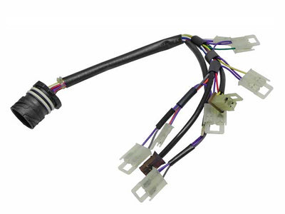 BMW Wiring Harness with Temerature Sensor for Automatic Trans A5S 325Z | 2000-2006 24341423873