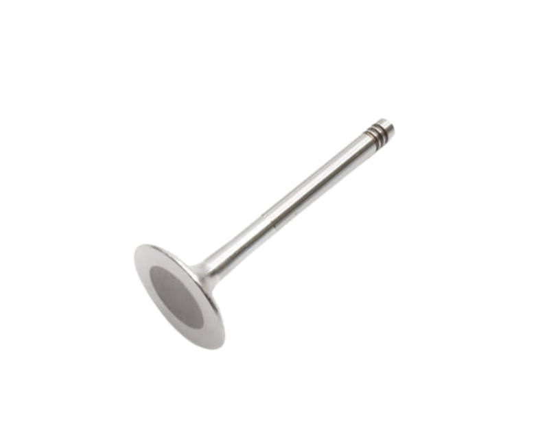 Cylinder Head Intake Valve - 928 | 1978-1986