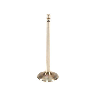 Enigne Intake Valve - Cayenne | Panamera | 2011-2018