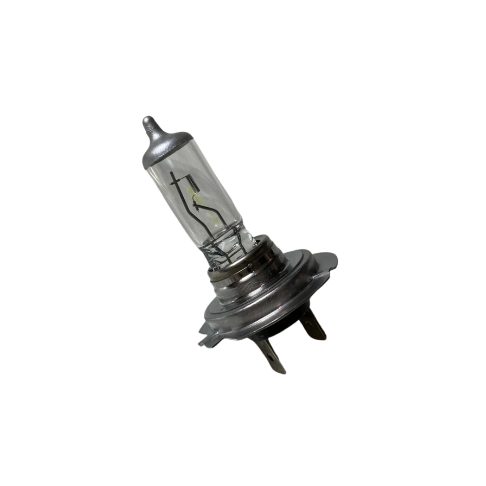 Headlight Bulb - Cayenne | 2015-2018