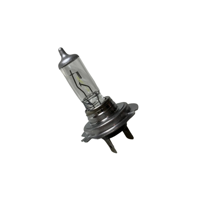 Headlight Bulb - Cayenne | 2015-2018