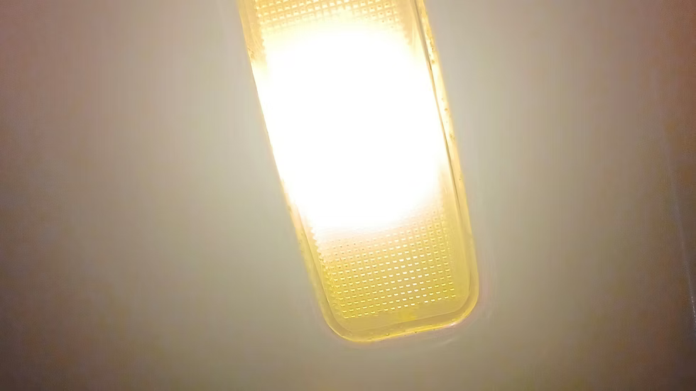 Interior Dome Lights LED White 43mm - 356 | 1950-1954