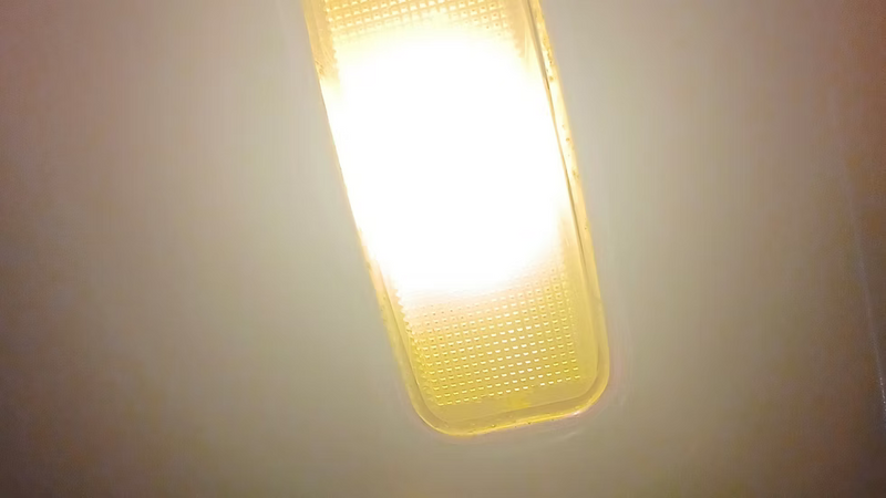 Interior Dome Lights LED White 43mm - 356 | 1950-1954
