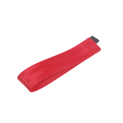 Interior Door Pull Handle - Red - Boxster | 2011-2012