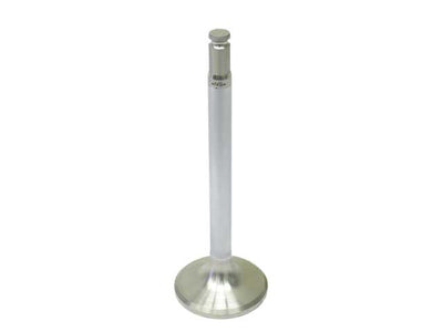 Mercedes-Benz Exhaust Valve | 1984-1993 1020500327