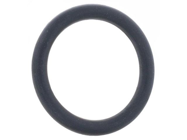 Mercedes-Benz Thermostat Housing Flange O-Ring 22 X 3.5 mm | 2015-2023 0249979545
