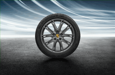 Porsche 20 in Exclusive Design Winter Wheel Set - 971044600D - Panamera 971044600D