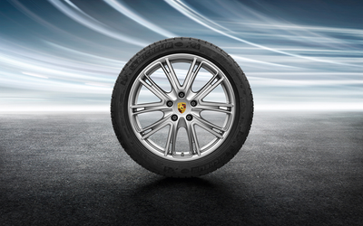Porsche 20 in Exclusive Design Winter Wheel Set - 971044600C - Panamera 971044600C