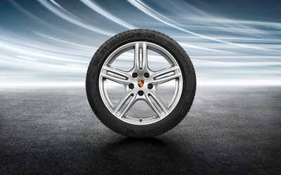 Porsche 20 in Winter Wheel Set - 971044600B - Panamera Turbo 971044600B
