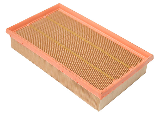 Porsche Air Filter, Cayenne/911 | 2017-2022 C2Z15037