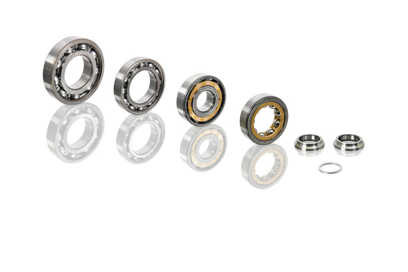 Porsche Ball Bearing Repair Kit - 911 95-98 PCG-349-010-22