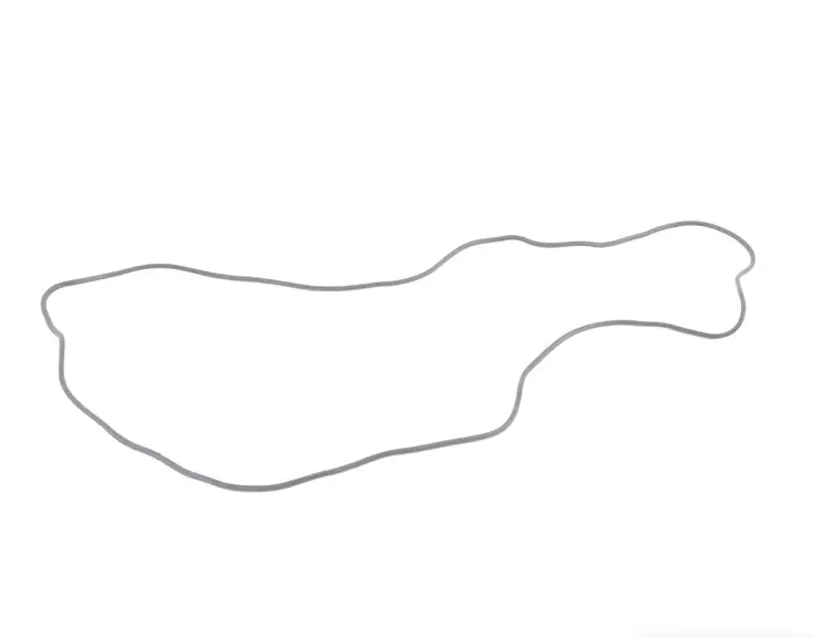 Porsche Carbon Canister Housing Gasket - 911/Boxster/Cayman 05-13 997-201-601-00