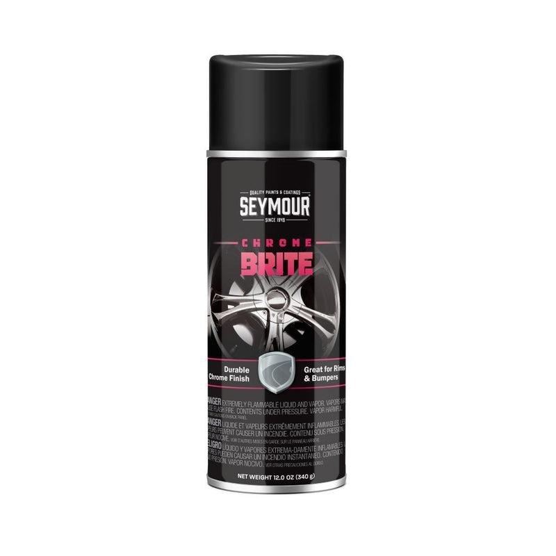 Porsche Chrome Brite Spray Paint 11 oz 3966160009